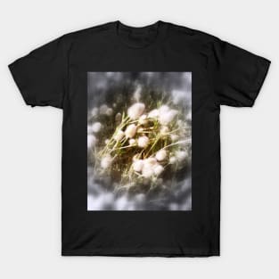 hare's foot trefoil T-Shirt